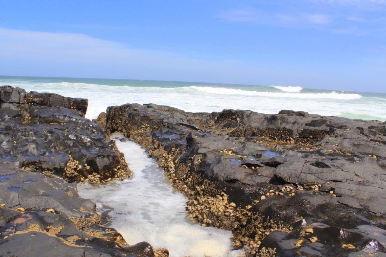 Silver Dolphin Holidays Leilighet Amanzimtoti Eksteriør bilde