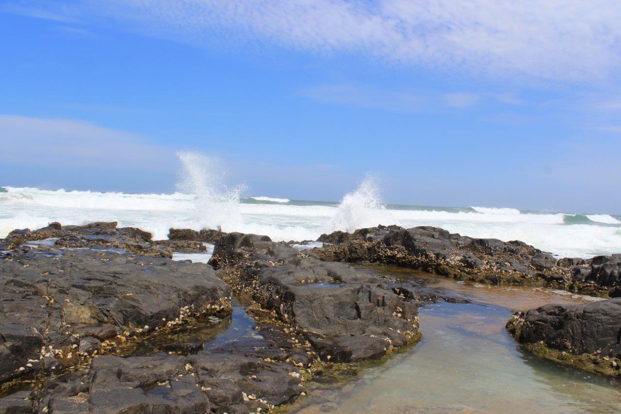 Silver Dolphin Holidays Leilighet Amanzimtoti Rom bilde