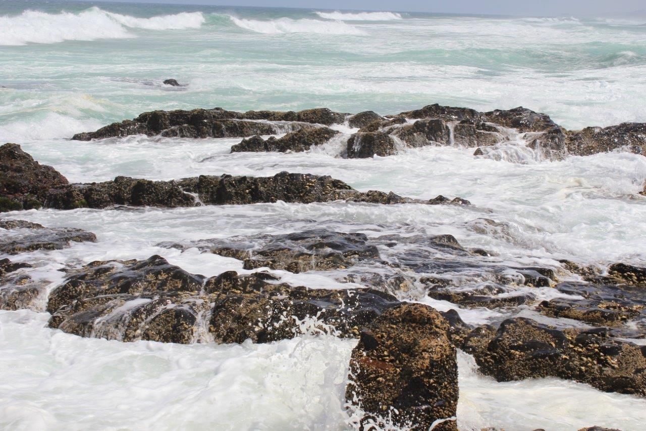 Silver Dolphin Holidays Leilighet Amanzimtoti Rom bilde